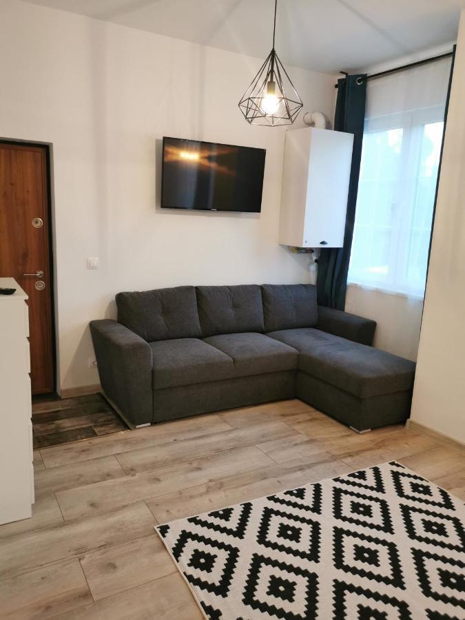 Central Park Studio Petroşani Dış mekan fotoğraf